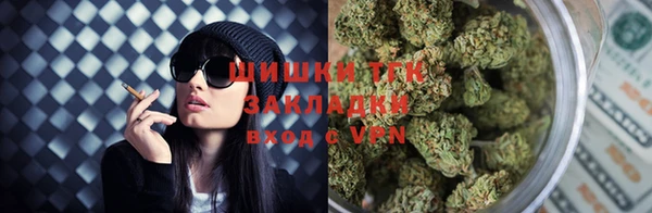 таблы Гусев