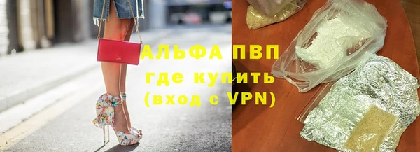 таблы Гусев