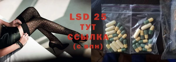таблы Гусев