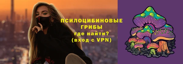 apvp Гусиноозёрск