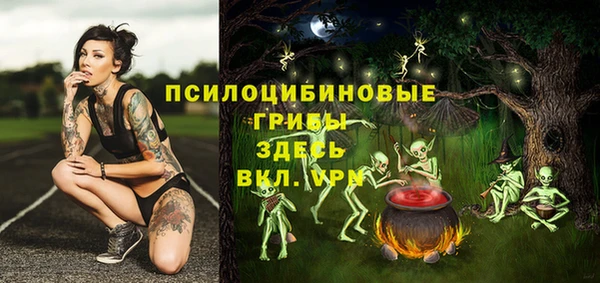 apvp Гусиноозёрск