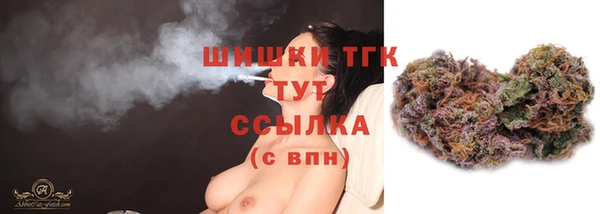 таблы Гусев