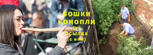 таблы Гусев