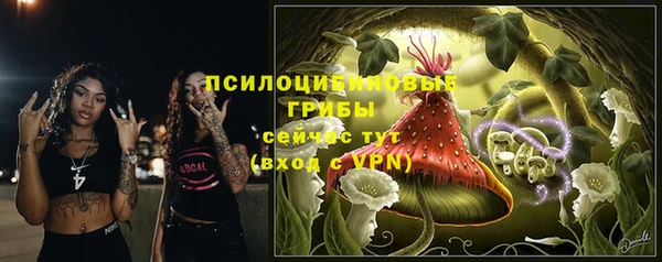 apvp Гусиноозёрск