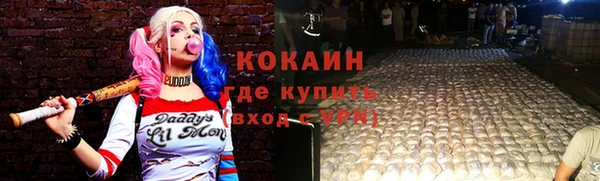 таблы Гусев