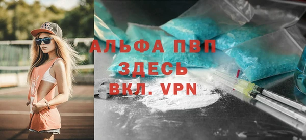 таблы Гусев