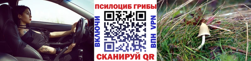 Галлюциногенные грибы Psilocybine cubensis купить наркоту OMG ONION Наро-Фоминск