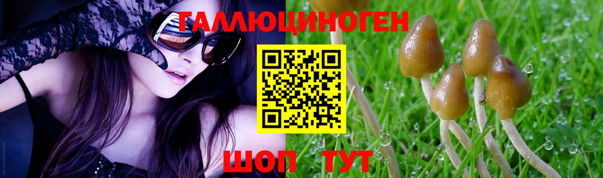 Псилоцибиновые грибы Magic Shrooms  Вход с VPN  Наро-Фоминск 